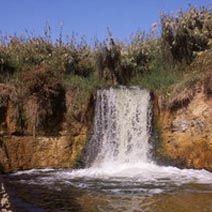 Fayoum Day Tours